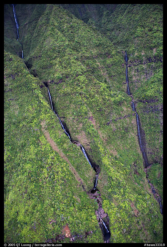 Aerial view of waterfalls on the slopes of Mt Waialeale. Kauai island, Hawaii, USA