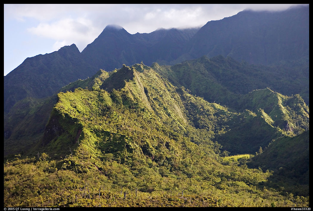 Aerial view of slopes of Mt Waialeale. Kauai island, Hawaii, USA