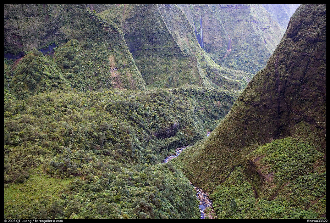 Aerial view of a valley on the slopes of Mt Waialeale. Kauai island, Hawaii, USA