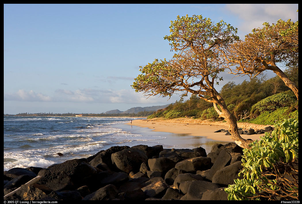 Boulders, trees, and beach, Lydgate Park, early morning. Kauai island, Hawaii, USA