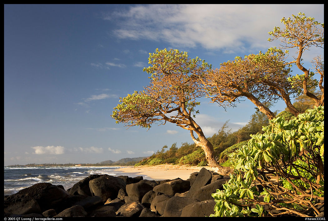 Boulders, trees, and beach, Lydgate Park, early morning. Kauai island, Hawaii, USA