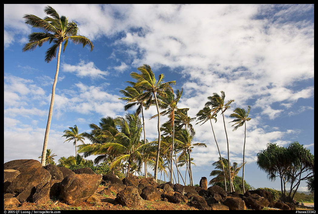 Rocks from a Heiau at the mounth of the Waiula River. Kauai island, Hawaii, USA
