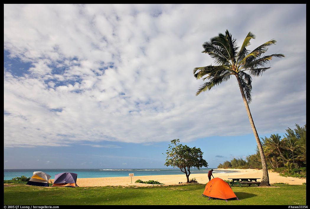 Tents and palm trees, Haena beach park. North shore, Kauai island, Hawaii, USA