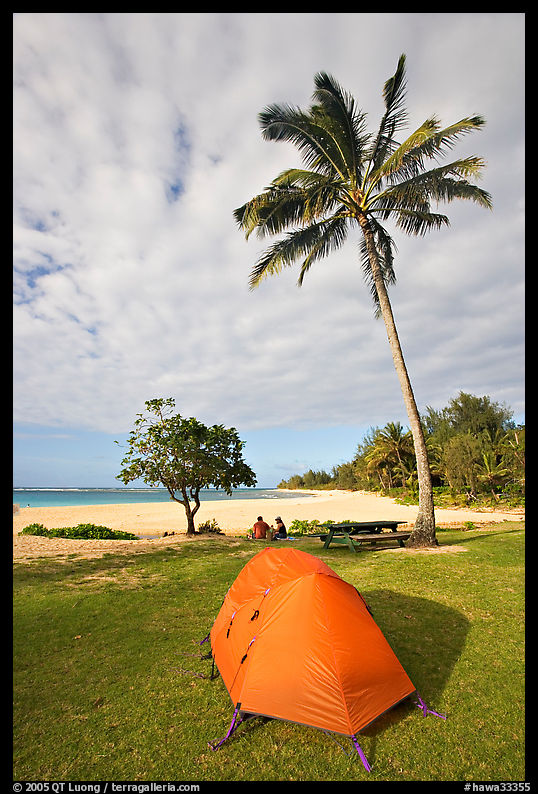 Tent and palm trees, Haena beach park. North shore, Kauai island, Hawaii, USA