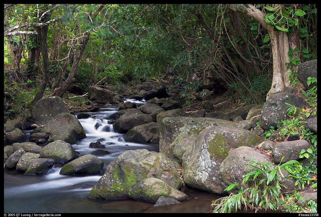 Stream, Haena beach park. North shore, Kauai island, Hawaii, USA