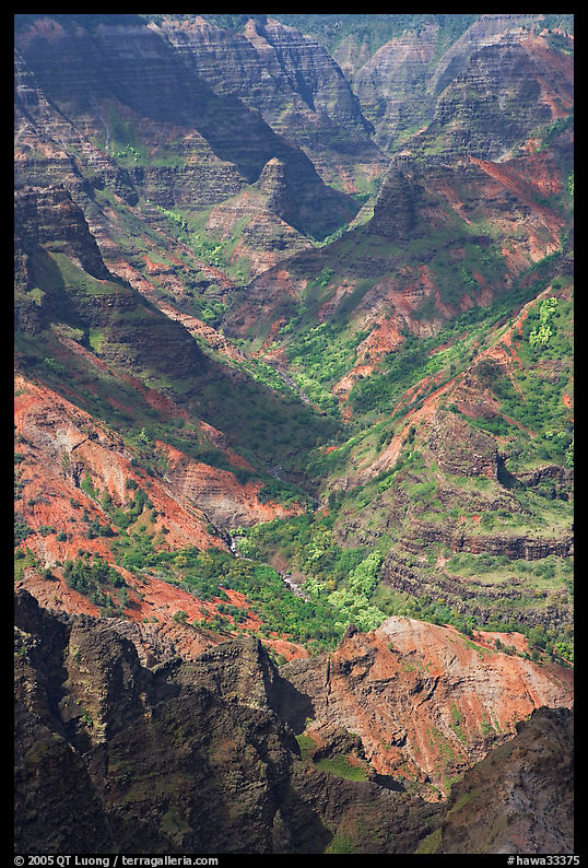 Shadows across Waimea Canyon, afternoon. Kauai island, Hawaii, USA
