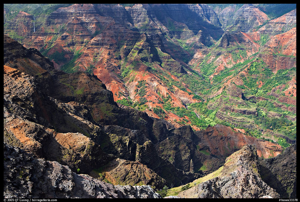 Waimea Canyon, afternoon. Kauai island, Hawaii, USA