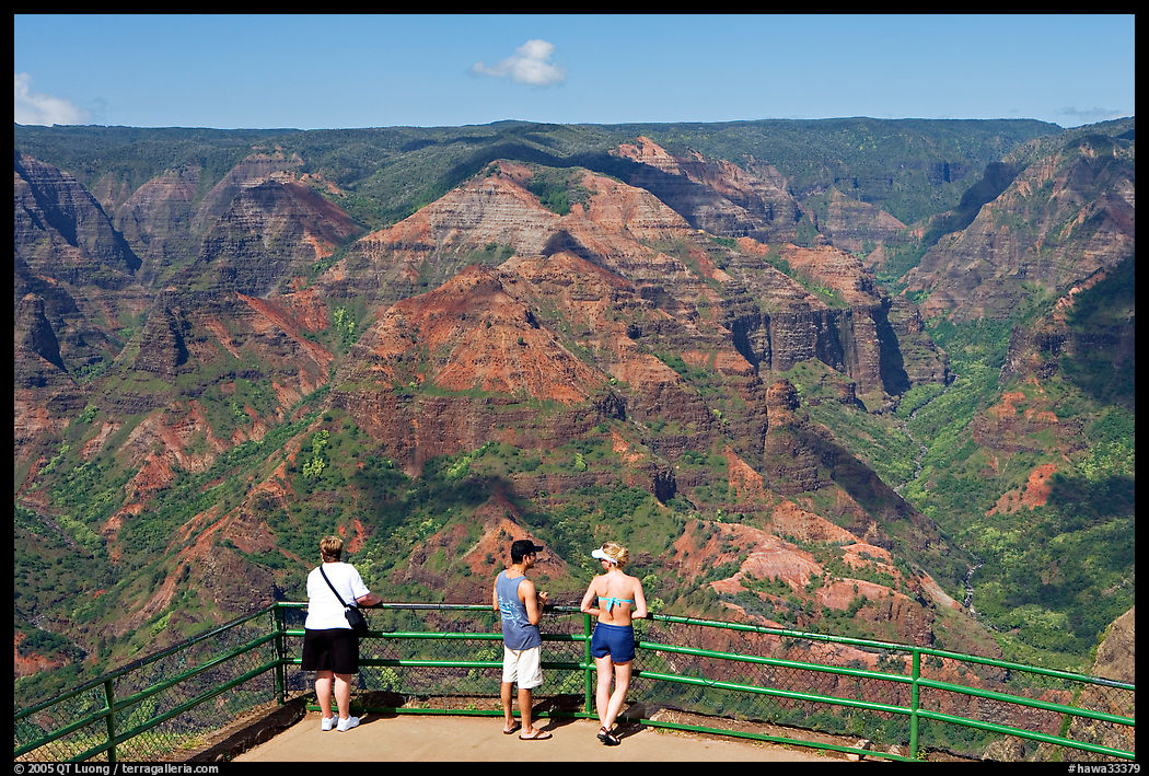 Visitors,  Waimea Canyon lookout. Kauai island, Hawaii, USA