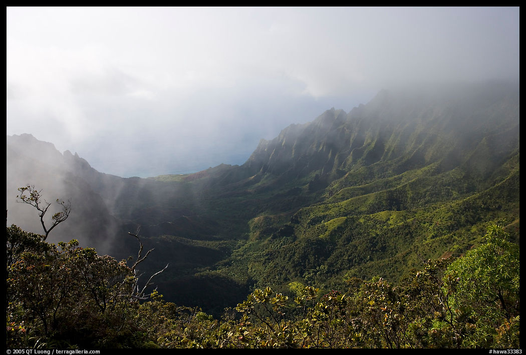 Kalalau Valley and mist, late afternoon. Kauai island, Hawaii, USA