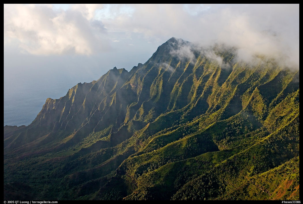 Lush Hills above Kalalau Valley, seen from the Pihea Trail, late afternoon. Kauai island, Hawaii, USA