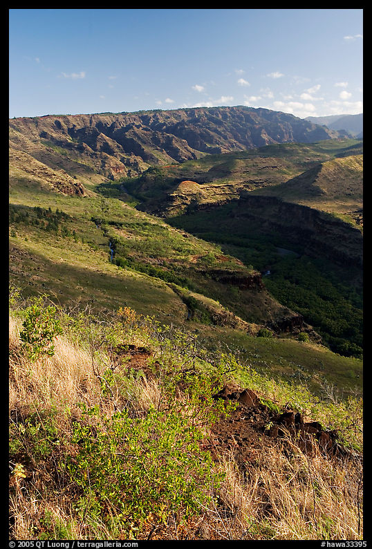 Valley carved by the Waimea River, lower Waimea Canyon, early morning. Kauai island, Hawaii, USA