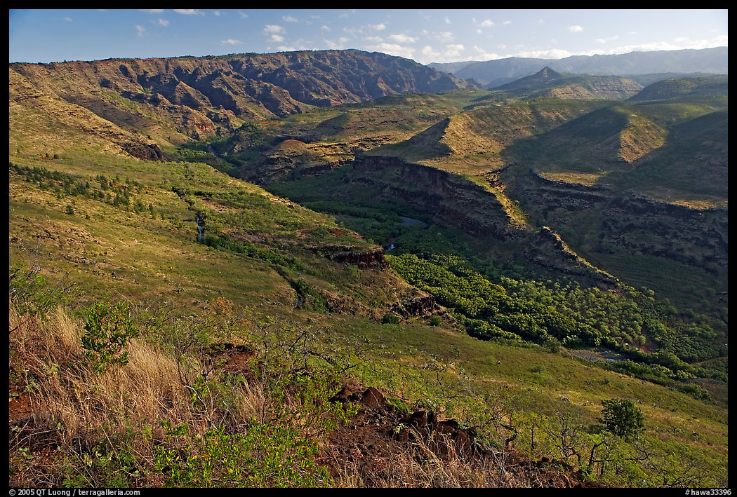 Valley carved by the Waimea River, lower Waimea Canyon, early morning. Kauai island, Hawaii, USA