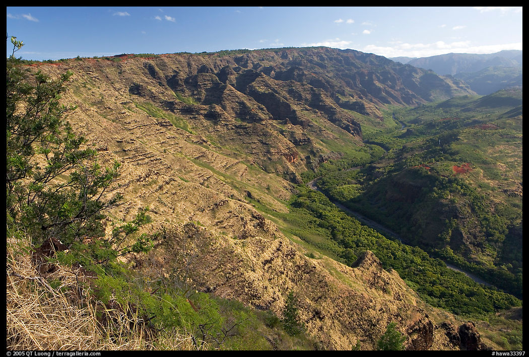 Valley carved by the Waimea River, lower Waimea Canyon, early morning. Kauai island, Hawaii, USA