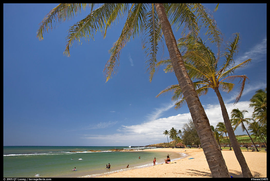 Coconut trees and Salt Pond Beach, mid-day. Kauai island, Hawaii, USA