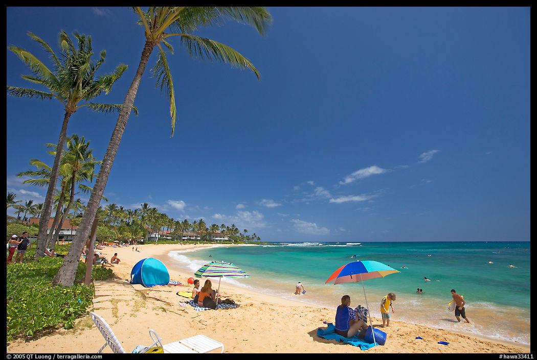 Sun unbrellas and palm trees, mid-day, Poipu Beach. Kauai island, Hawaii, USA