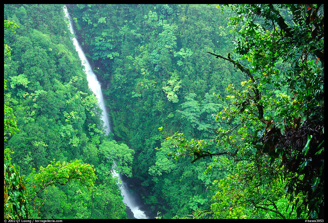 Kahuna Falls. Akaka Falls State Park, Big Island, Hawaii, USA