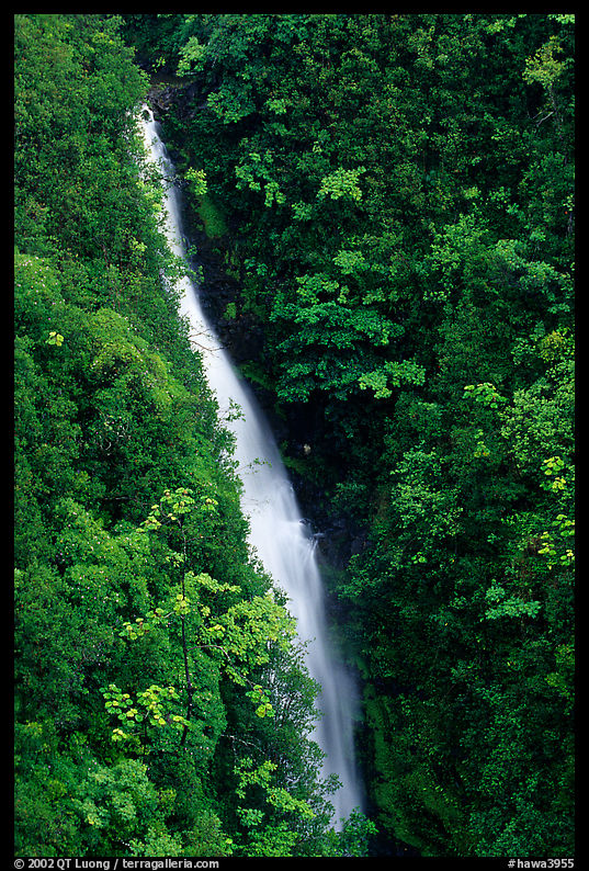 Kahuna Falls in a lush valley. Akaka Falls State Park, Big Island, Hawaii, USA