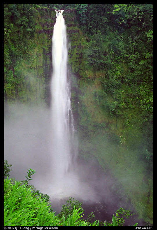 Akaka Falls. Akaka Falls State Park, Big Island, Hawaii, USA