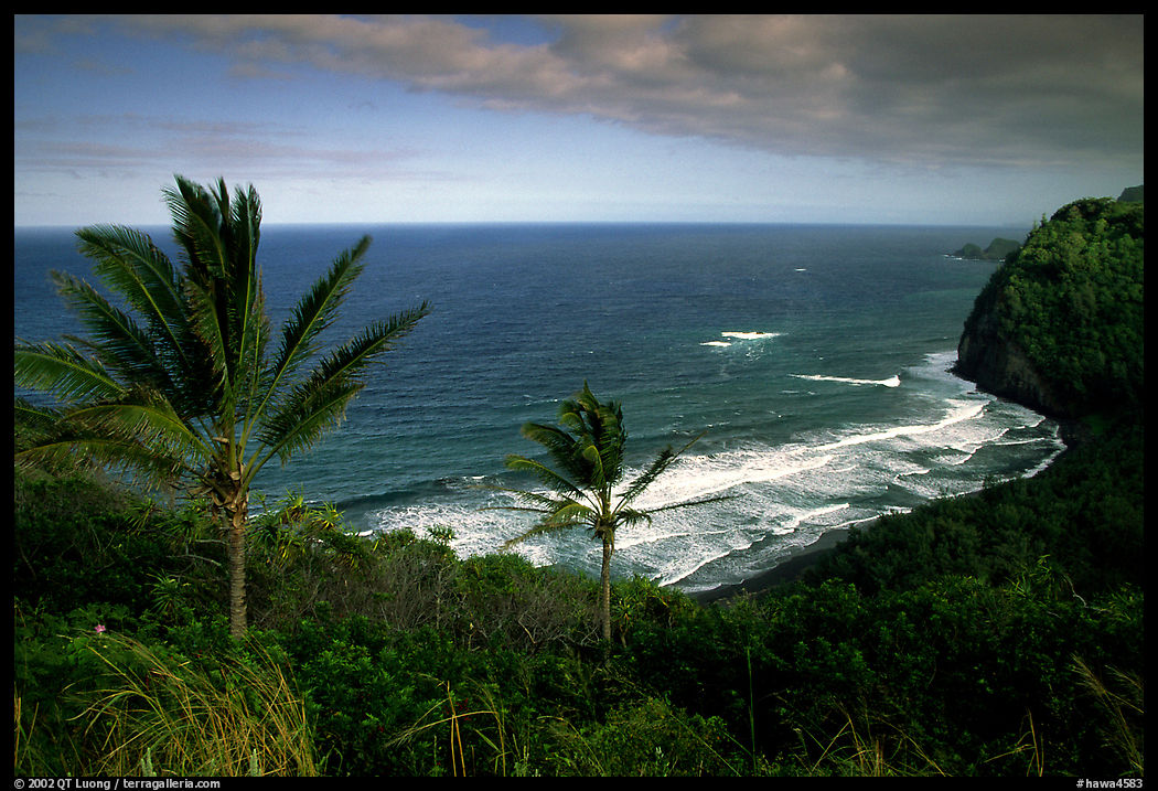 Polulu Beach seen from Polulu Valley overlook. Big Island, Hawaii, USA