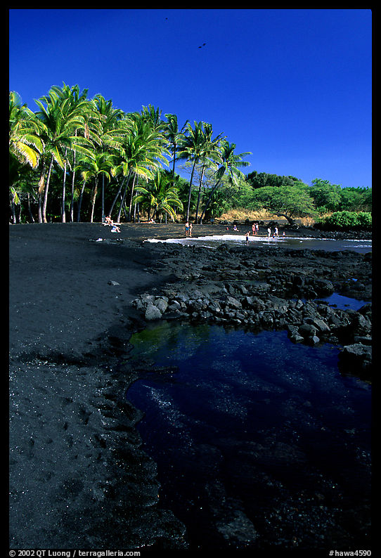 Beach of black sand  at Punaluu. Big Island, Hawaii, USA