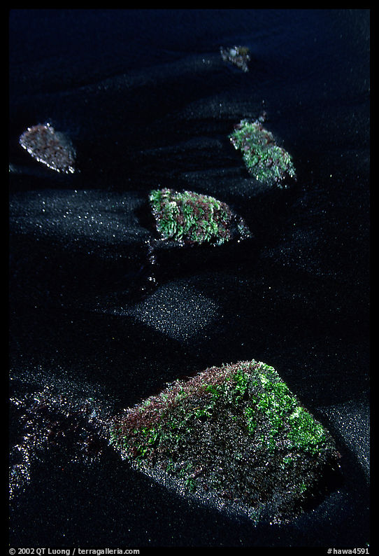 Mossy rocks and black sand, Punaluu black sand beach. Big Island, Hawaii, USA