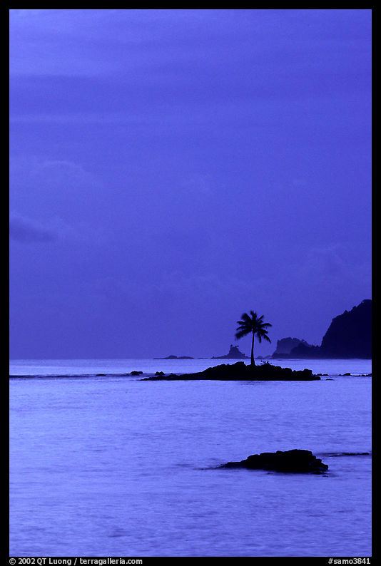 Coconut tree on islet in Leone Bay, dusk. Tutuila, American Samoa