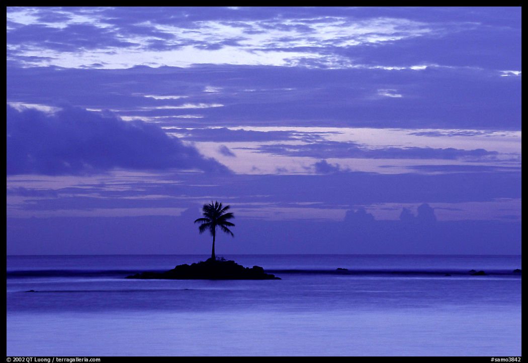 Lone palm tree on a islet in Leone Bay, dusk. Tutuila, American Samoa