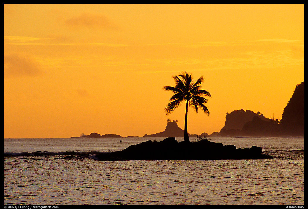 Lone coconut tree on a islet in Leone Bay, sunset. Tutuila, American Samoa