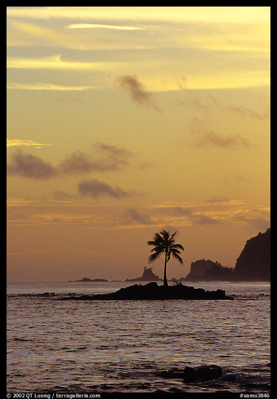 Coconut tree on islet, Leone Bay, sunset. Tutuila, American Samoa
