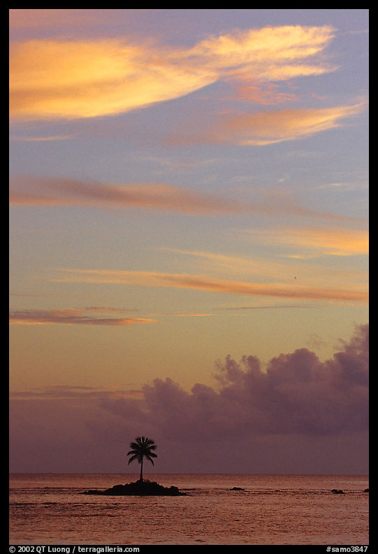 Lone coconut tree on a islet in Leone Bay, sunset. Tutuila, American Samoa