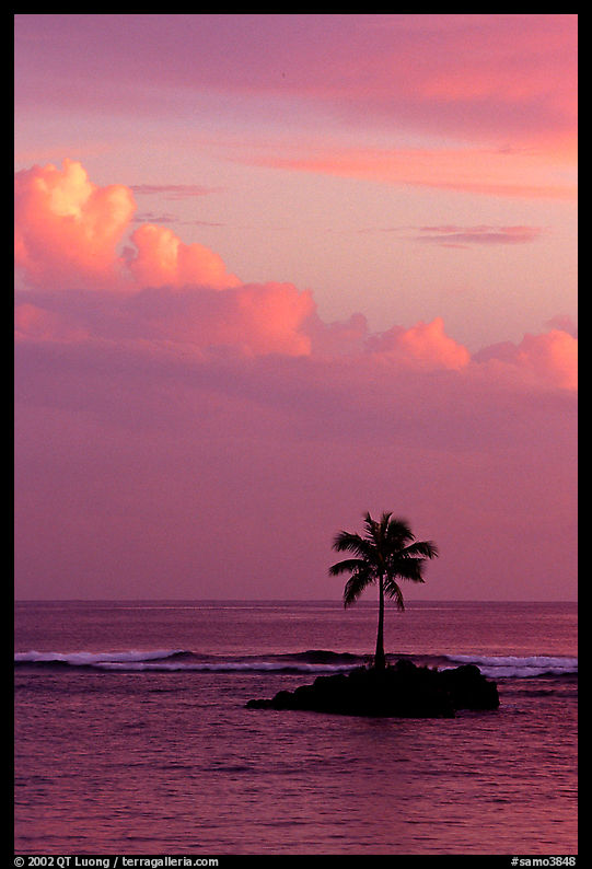 Lone palm tree on a islet in Leone Bay, sunset. Tutuila, American Samoa