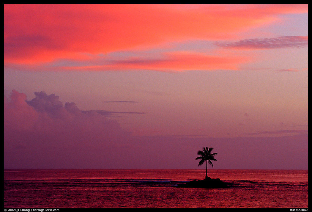 Palm tree on a islet in Leone Bay, sunset. Tutuila, American Samoa