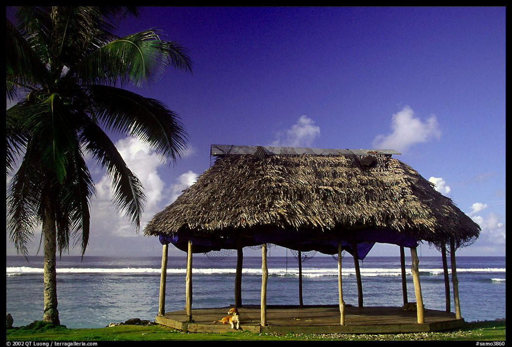 Beach fale with dog near Amouli. Tutuila, American Samoa