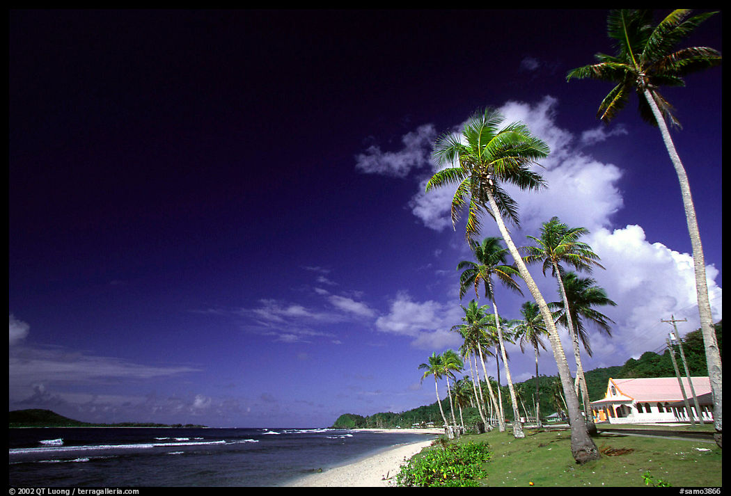 Palm-lined beach in village of Auasi. Tutuila, American Samoa