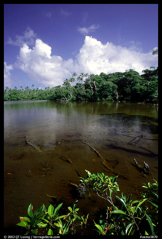 Pala quicksand lake. Aunuu Island, American Samoa