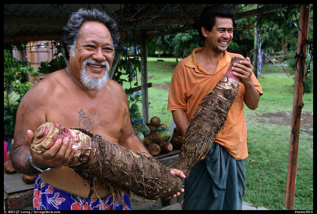 Islanders holding Taro roots in Iliili. Tutuila, American Samoa