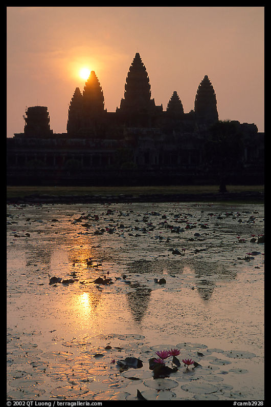 Sunrise, Angkor Wat reflected in pond. Angkor, Cambodia