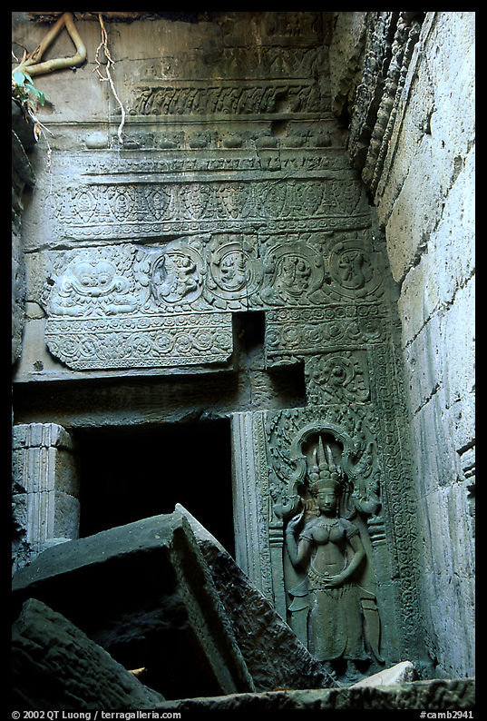 Ruins in Ta Prom. Angkor, Cambodia