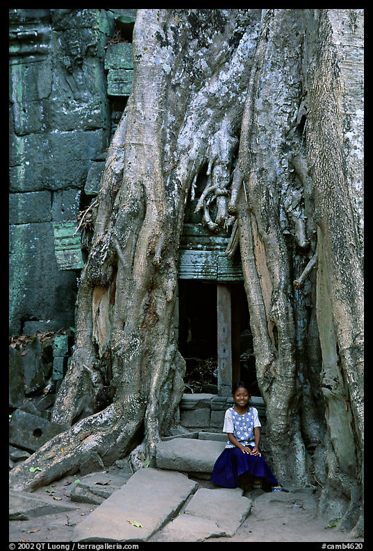 Girl sits at the base of huge bayan tree encroaching on ruins in Ta Prom. Angkor, Cambodia