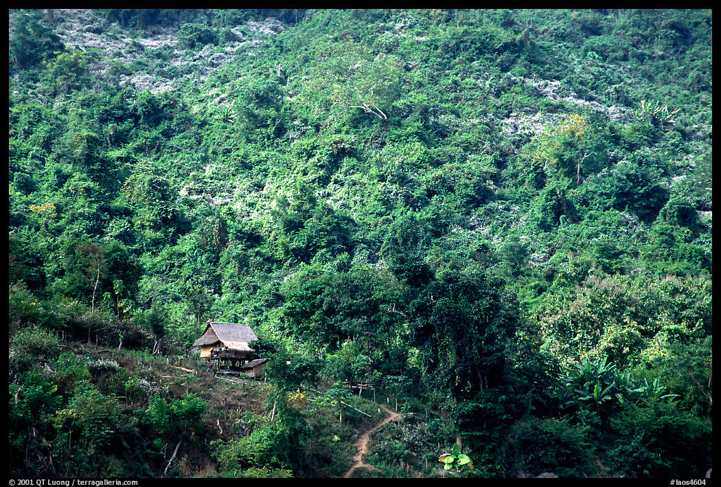 Hillside village in luxuriant jungle. Mekong river, Laos
