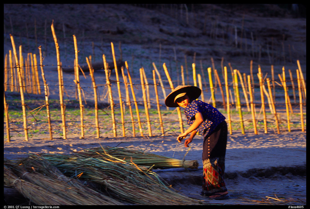 Villager and fence. Mekong river, Laos