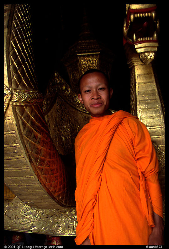 Buddhist novice monk with funeral vehicle at Wat Xieng Thong, grinning because he's demonstrating the ordained monks style of draping the robe. Luang Prabang, Laos