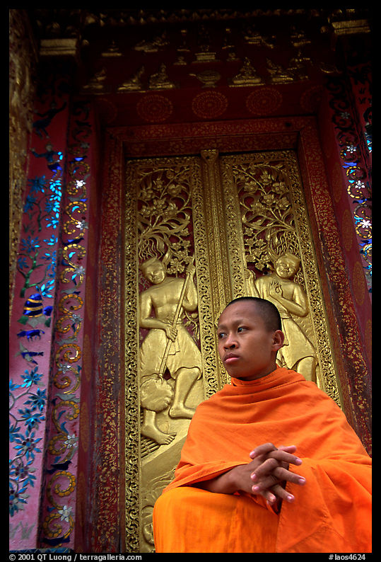Buddhist novice monk at Wat Xieng Thong. Luang Prabang, Laos