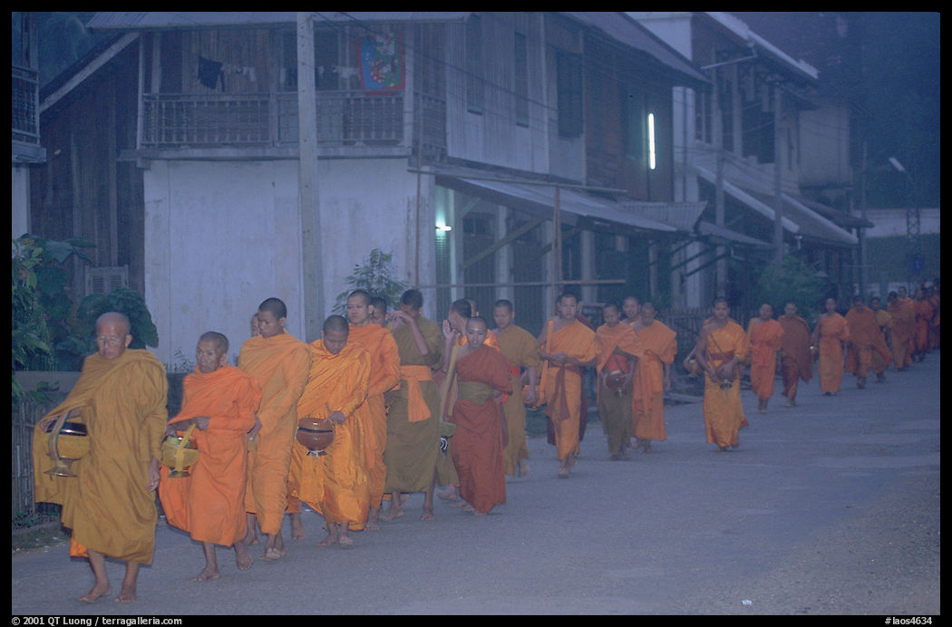 Morning alms procession of buddhist monks. Luang Prabang, Laos