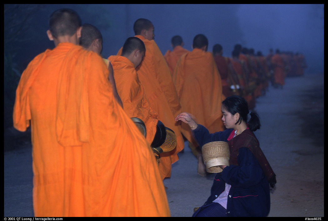 Woman gives alm during morning procession of buddhist monks. Luang Prabang, Laos
