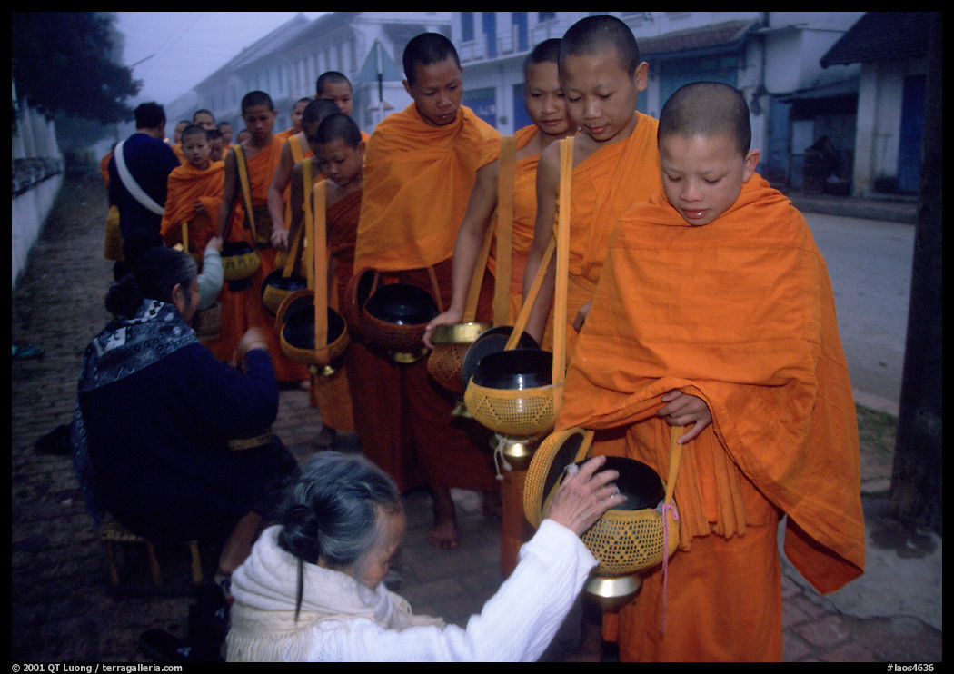 Women give alm during morning procession of buddhist monks. Luang Prabang, Laos