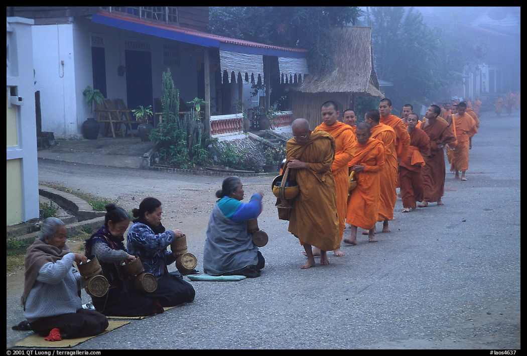 Women give alm during morning procession of buddhist monks. Luang Prabang, Laos