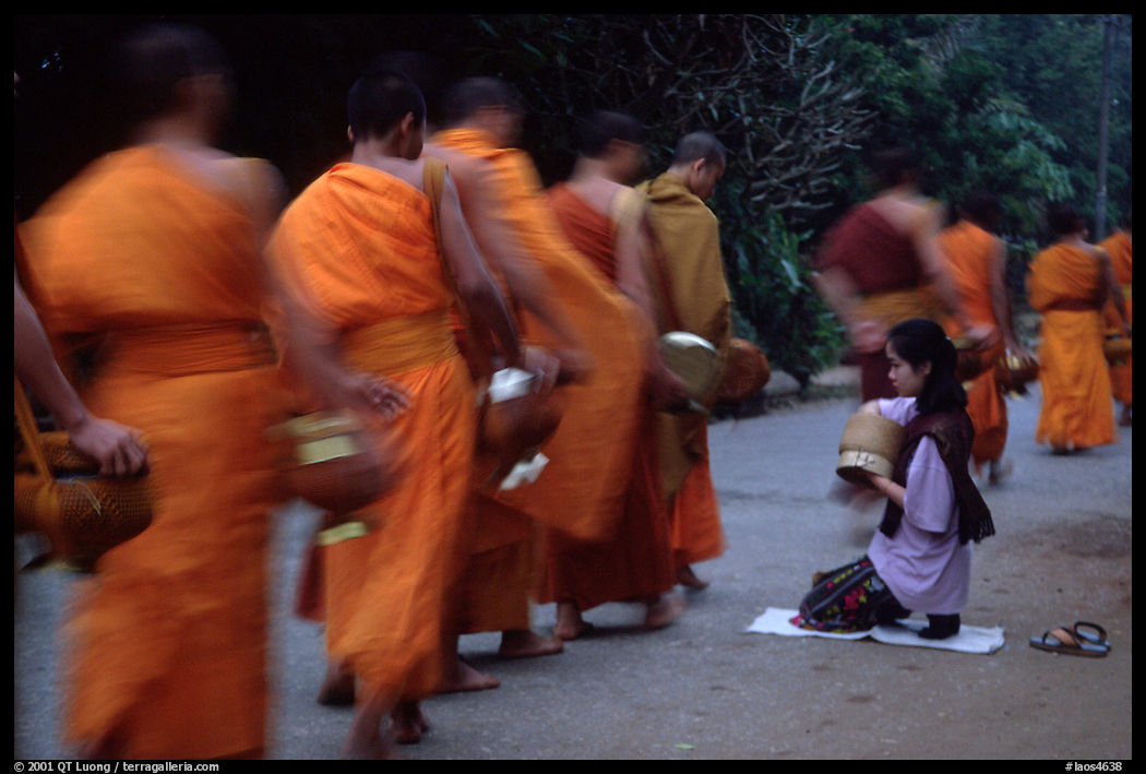 Woman gives alm during morning procession of buddhist monks. Luang Prabang, Laos