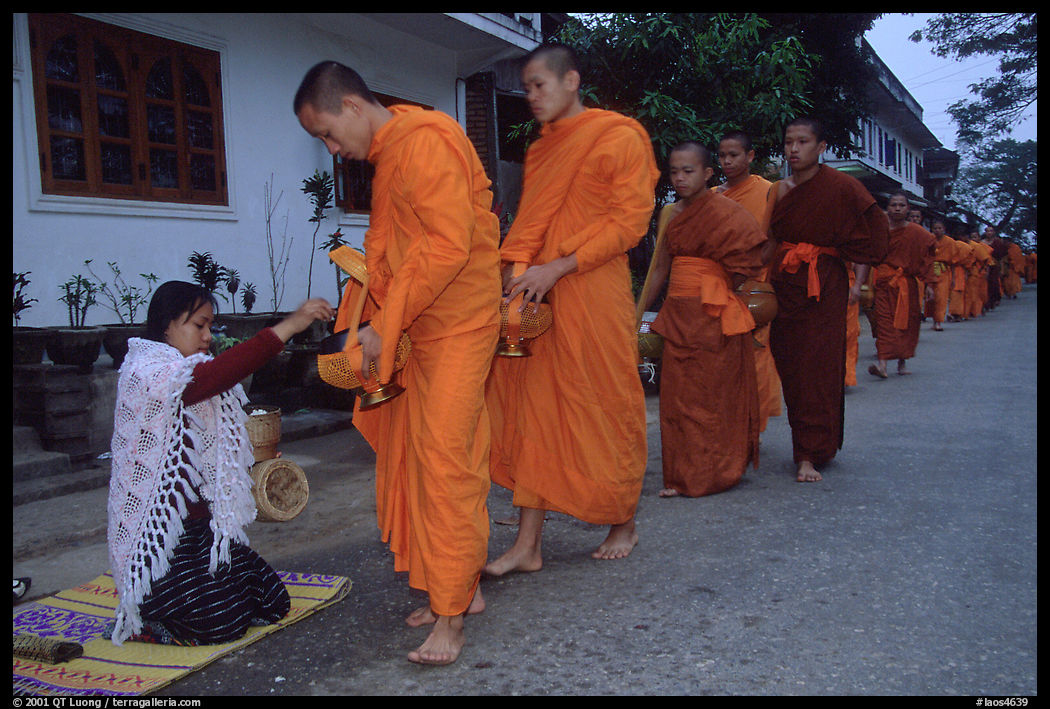 Woman gives alm during morning procession of buddhist monks. Luang Prabang, Laos