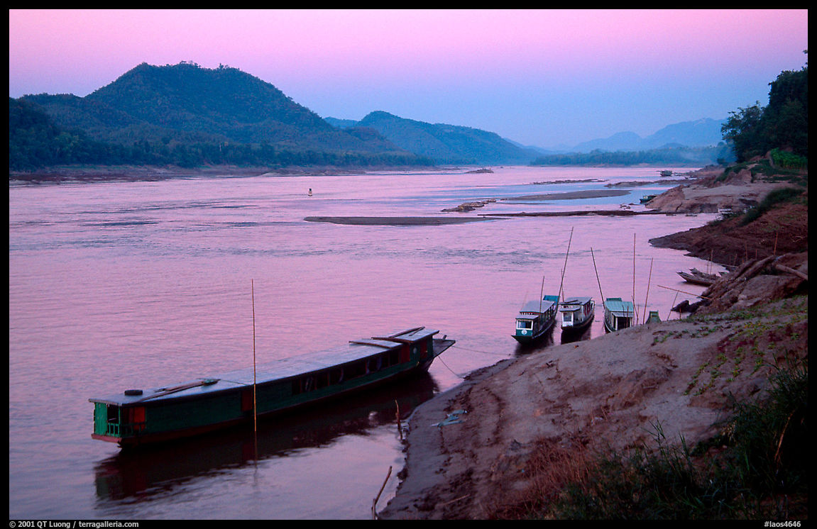 Dusk on the Mekong river framed by coconut trees. Luang Prabang, Laos